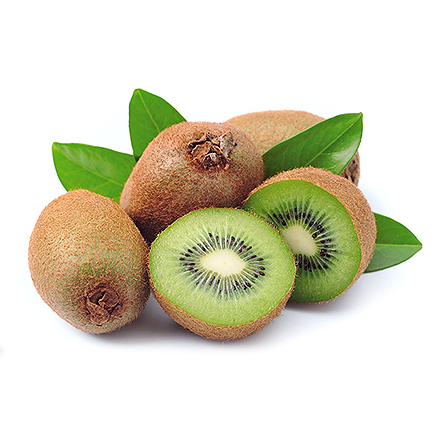 九游官网唯一入口产品中心二