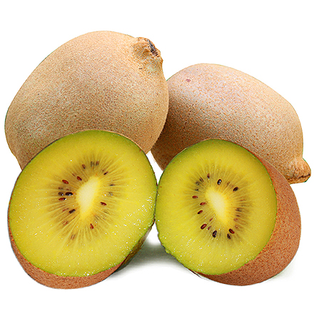 九游官网唯一入口产品中心四