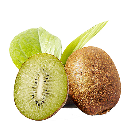 九游官网唯一入口产品中心六